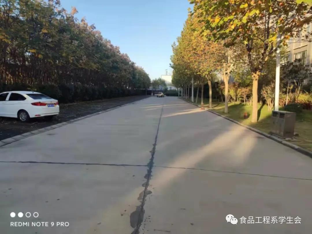 美化校園 你我同行 (圖3) 美化校園 你我同行 (圖3)