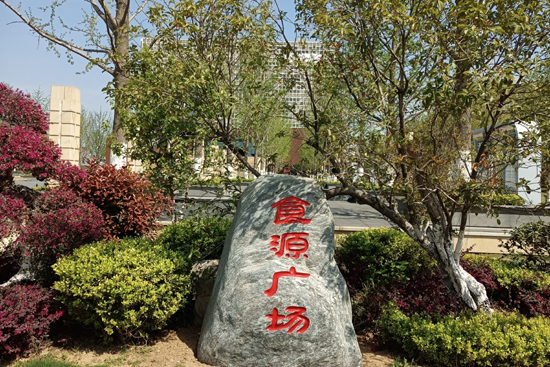 IMG_20220409_103604.jpg