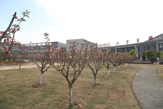 BA0A7744.JPG