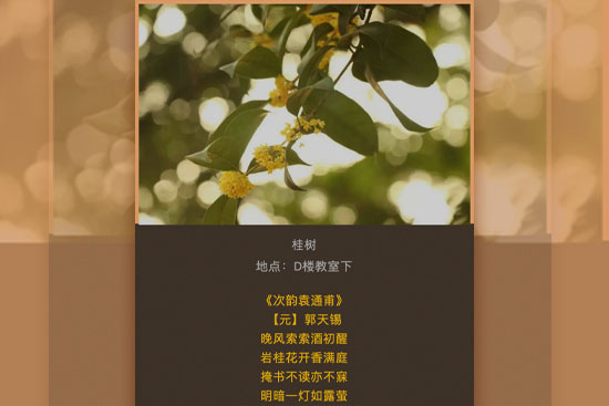 學習二十大22-11-18-1.jpg