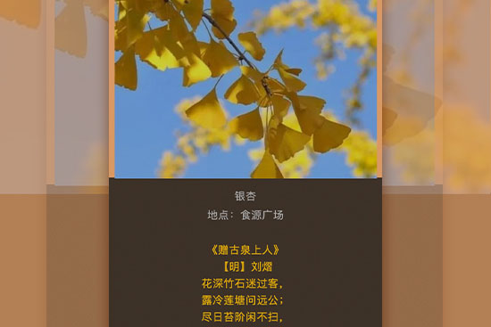 學習二十大22-11-18-2.jpg